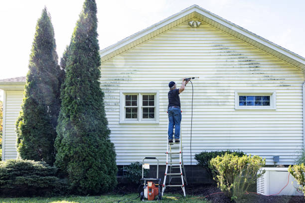 Professional Pressure washing in Perry, LA